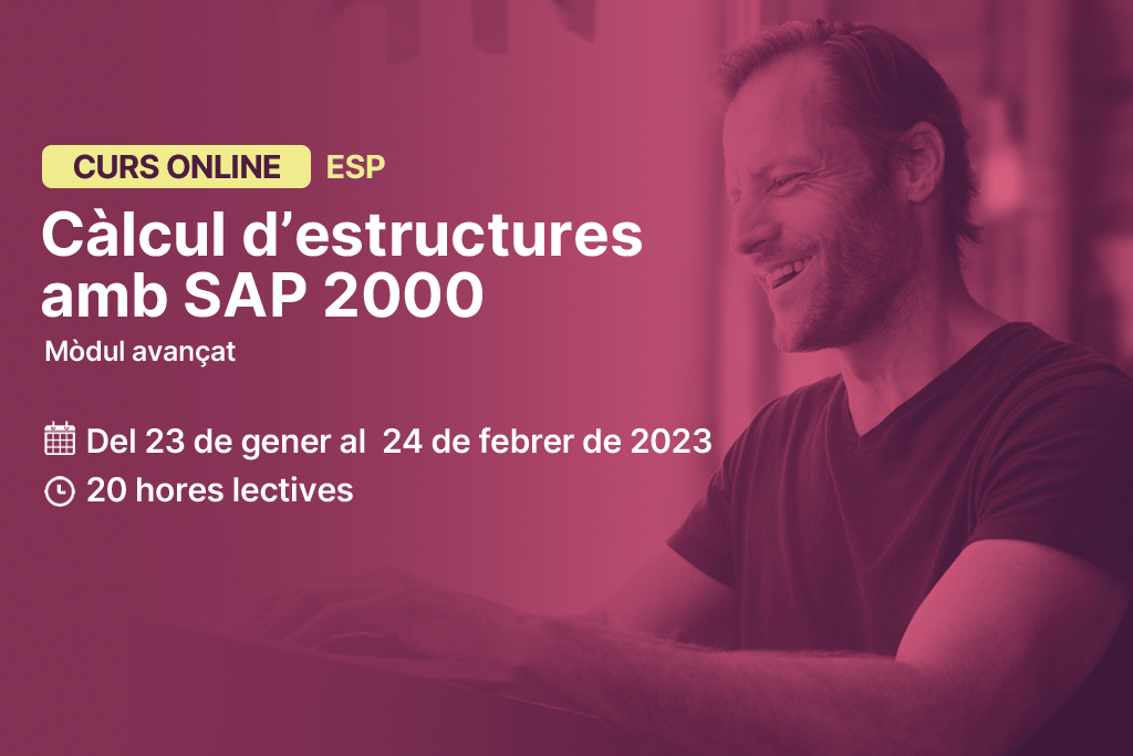 Curs online SAP 2000