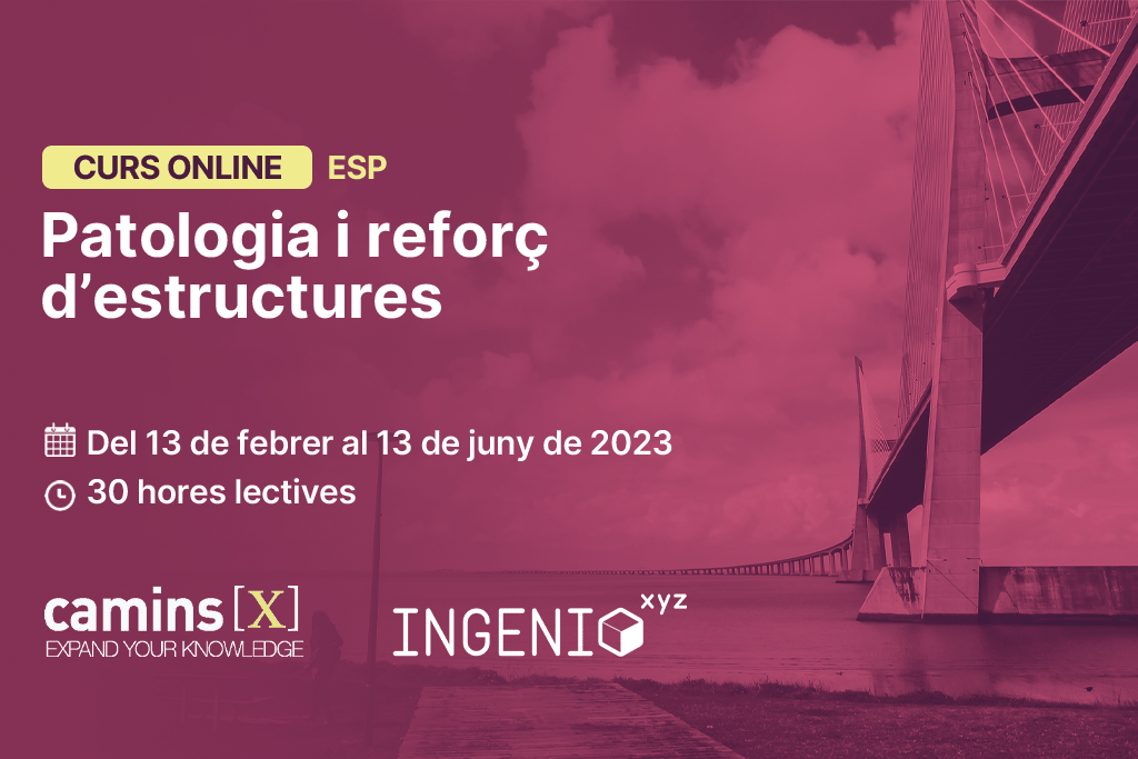 Curs online patologia i reforç d'estructures