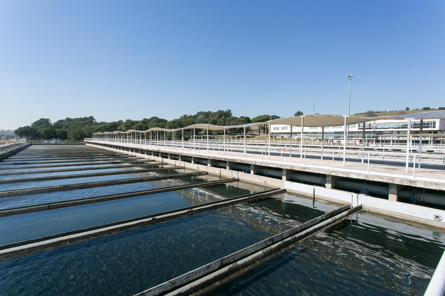 ETAP del Ter. Autor: ATL